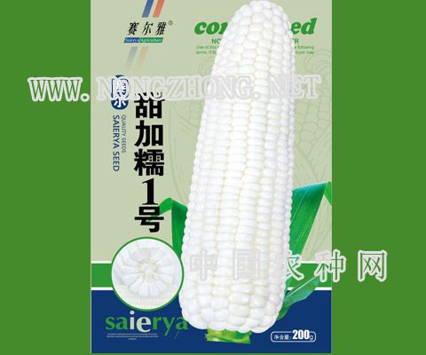 赛尔甜加糯1号